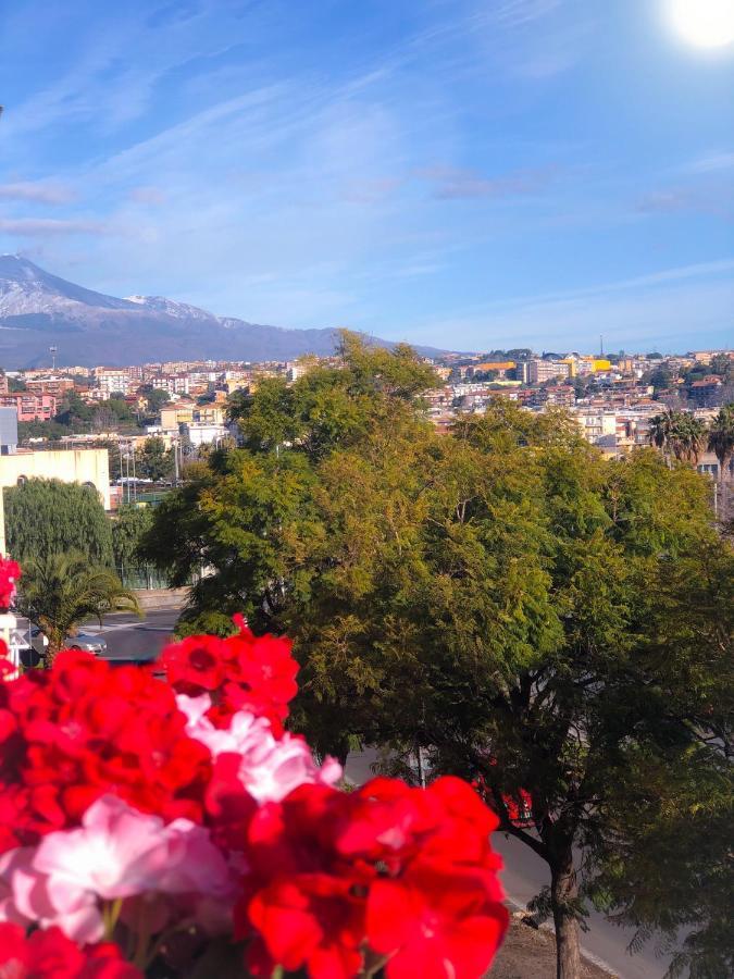 B&B Policlinico Gaspare Rodolico CTA Exteriér fotografie